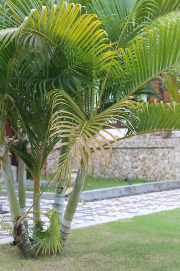 Gepah Garden Cottage Nusa Penida Exterior foto
